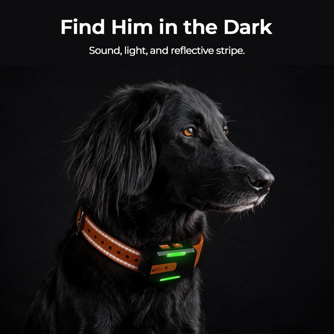 Dog GPS Tracker No Subscription, Off-Grid, Up to 3 Mile Long Range