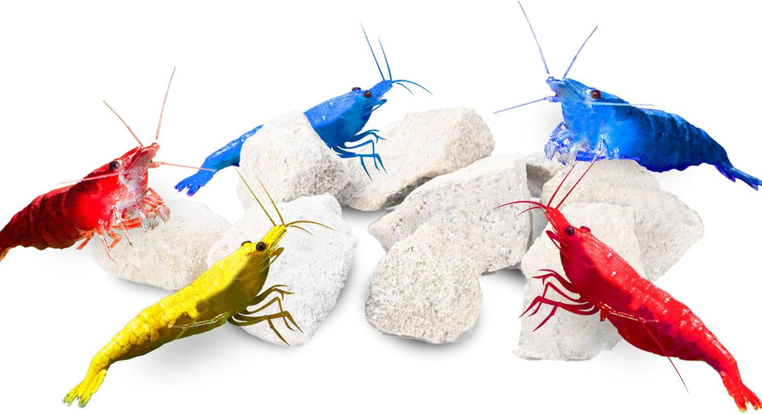 JOR Calcium Rocks for Shrimps, Color Enhancing Breeding Hideout
