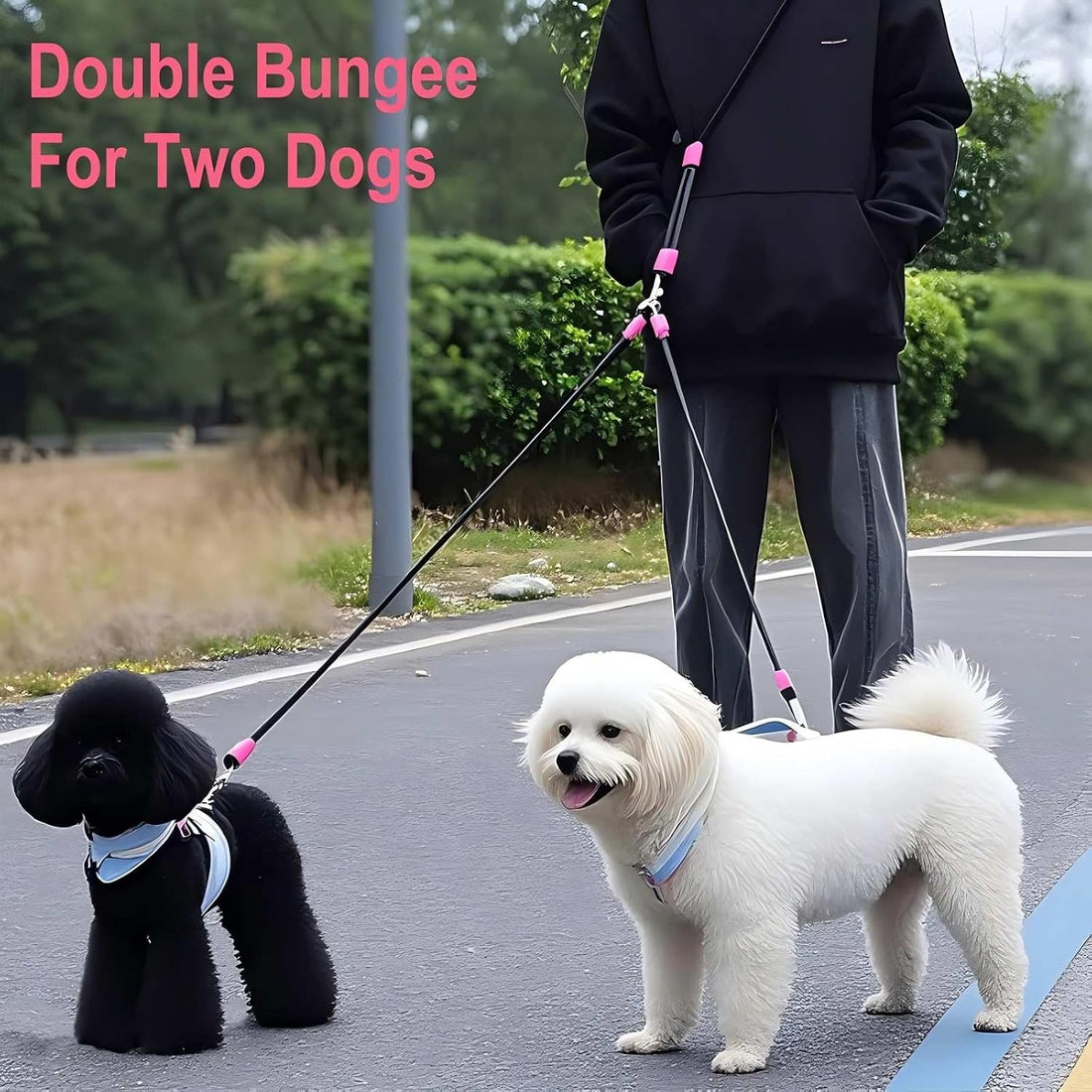 Double Dog Leash for Two Dogs,Dual Hands Free Dog Leashes,360 Swivel