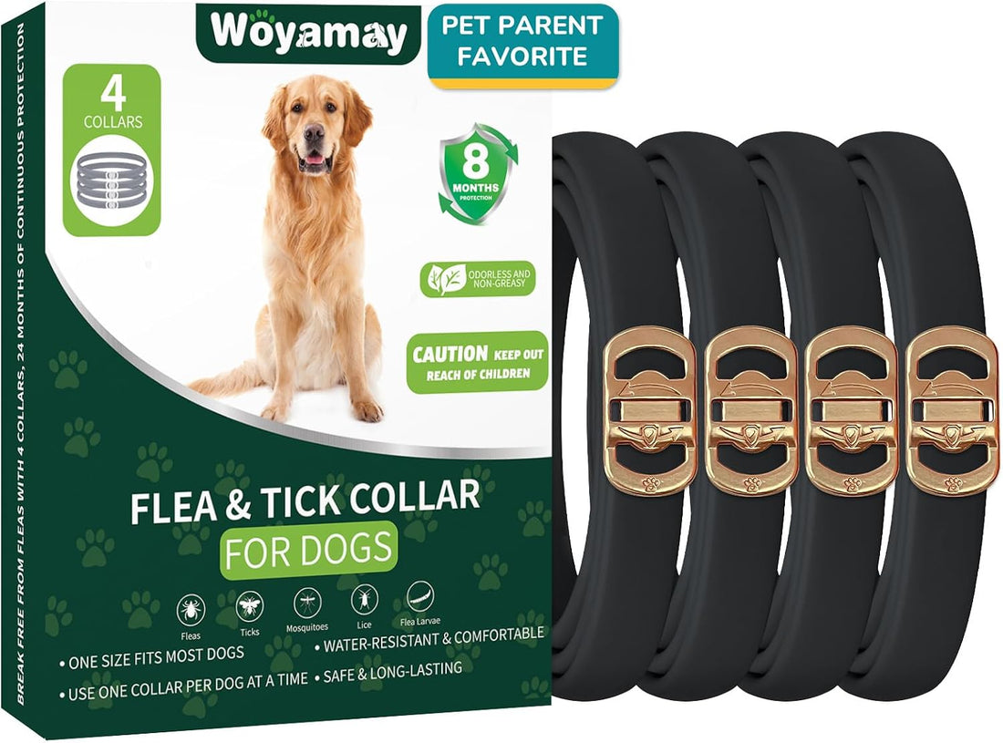 Woyamay 4 Pack Flea Collar for Dogs, Flea and Tick Prevention for Dogs