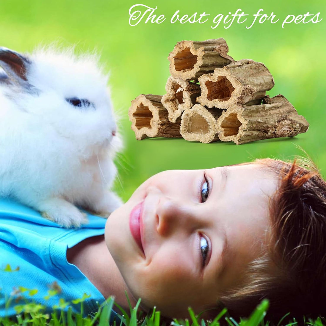 Abizoo Natural Bunny Chew Toys,6 Pcs Organic Papaya Wood Sticks Chew