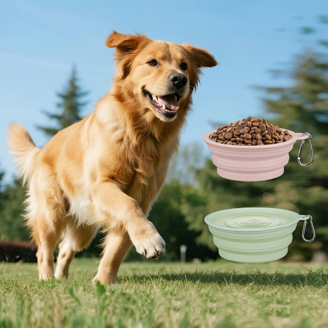 2-Pack Collapsible Dog Bowls