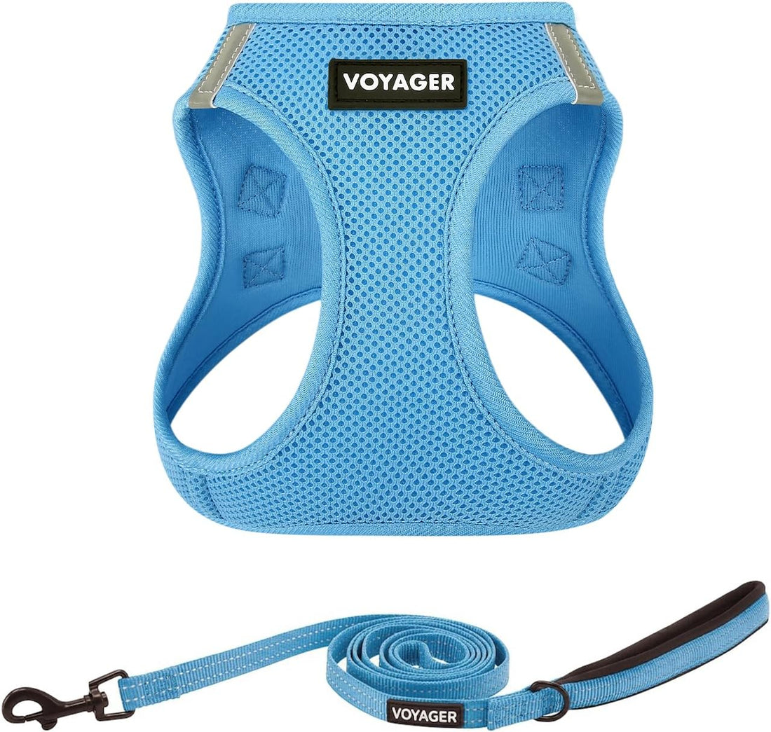 Voyager Step-in Air Cat Harness & Leash Set - Moss Green, XS