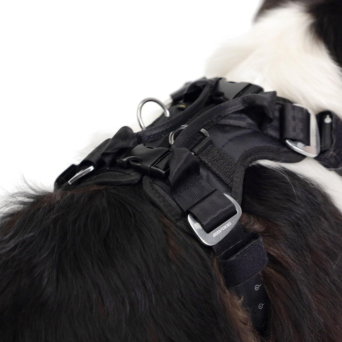 EzyDog Drive Dog Car Harness, Crash Tested and Certified - Medium