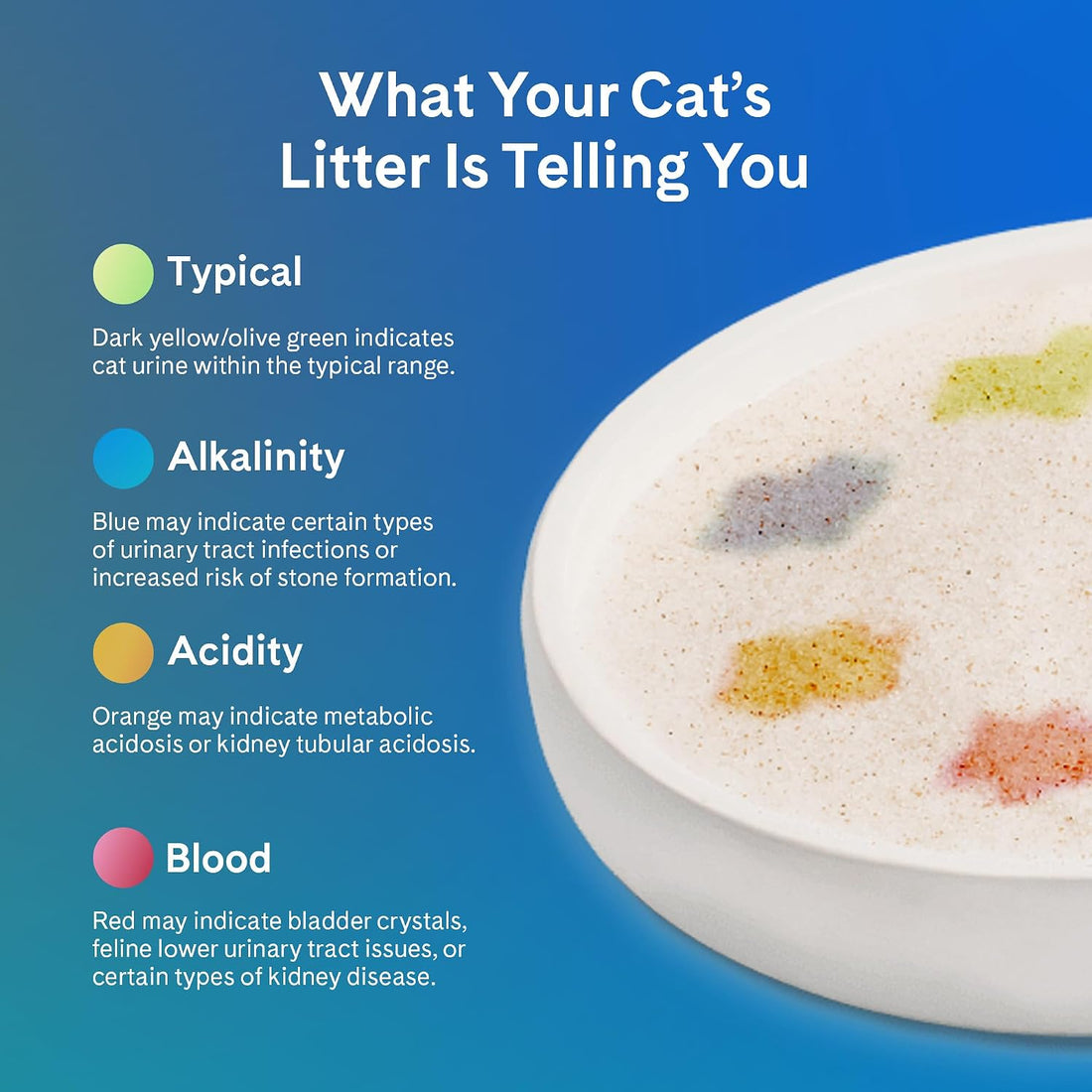 PrettyLitter Health Monitoring Cat Litter | Lightweight & Low Tracking
