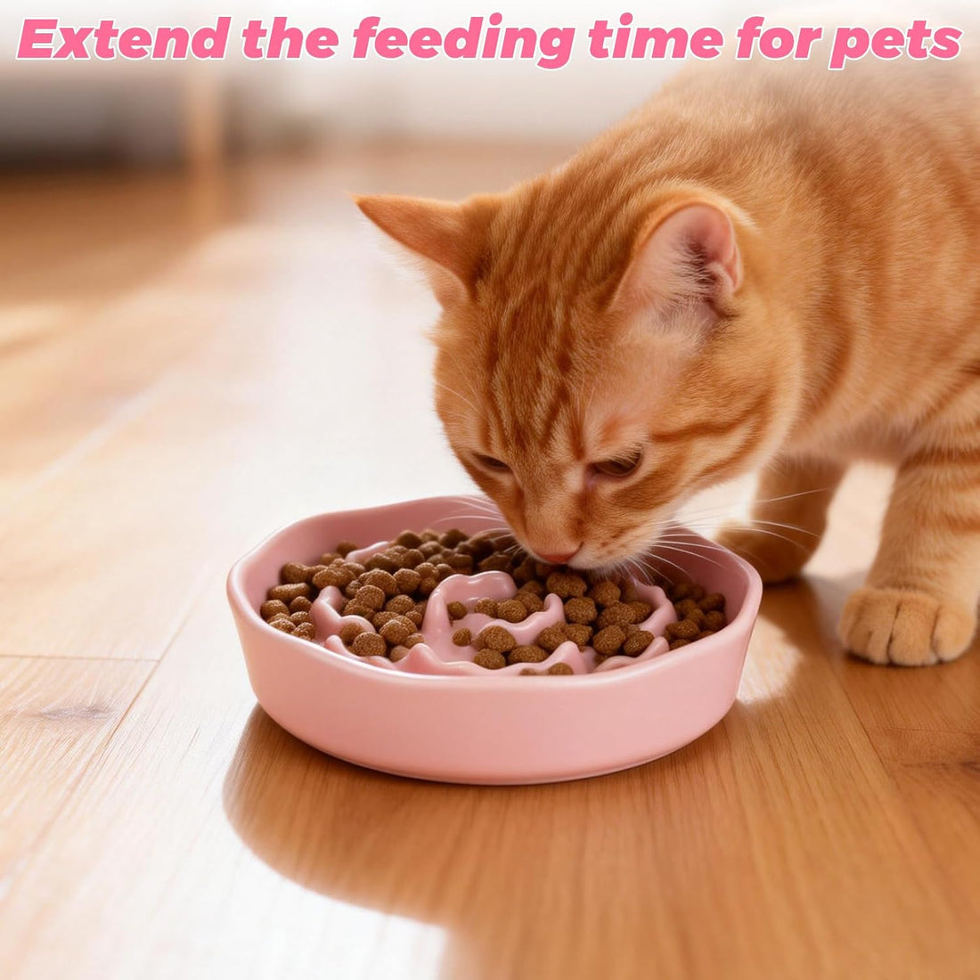 4Pcs Ceramic Cat Slow Food Feeder, 6 Inch Slow Feeder for Small Dogs