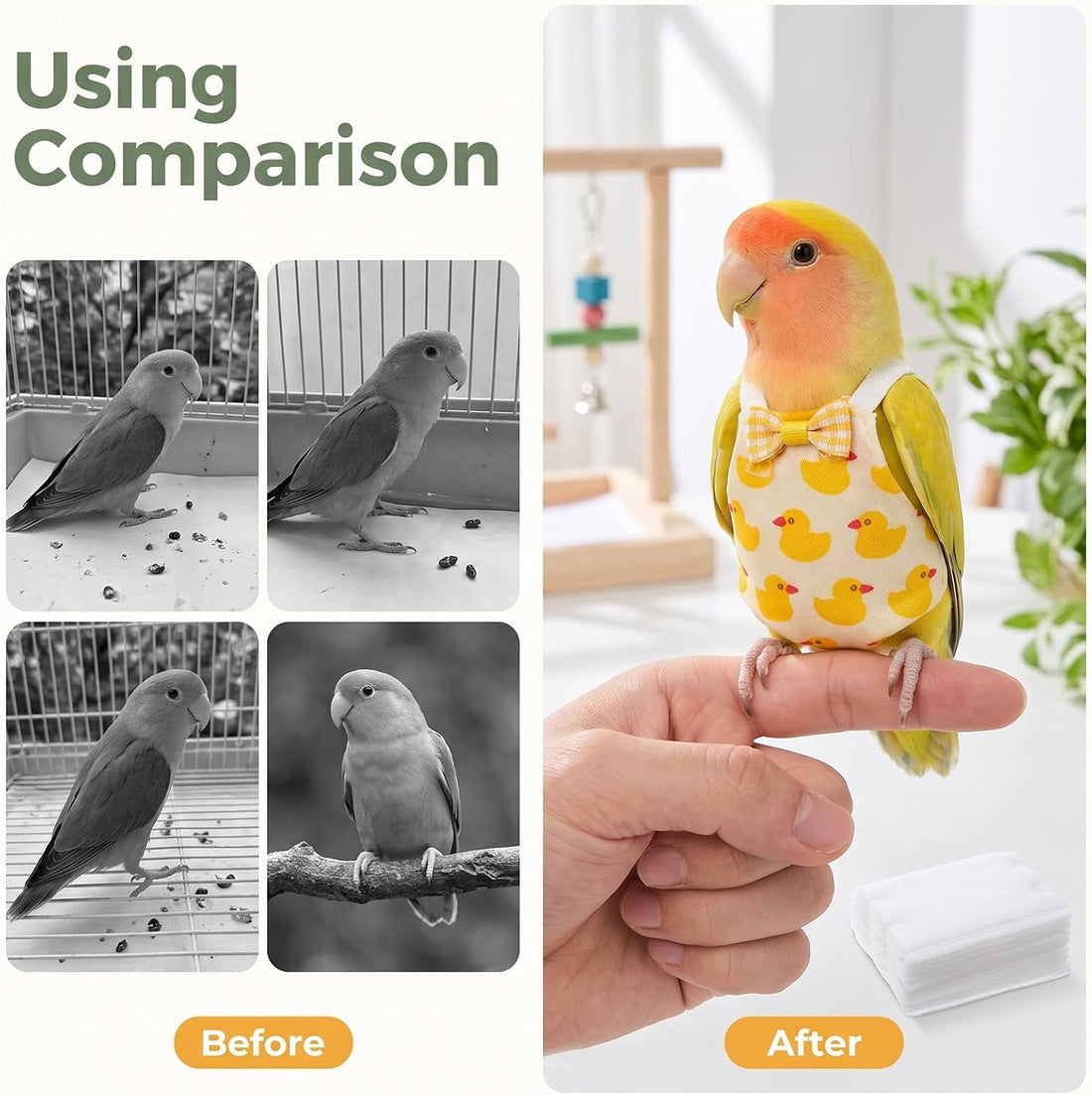 Bird Diaper with Waterproof Inner & Diapers Replacement