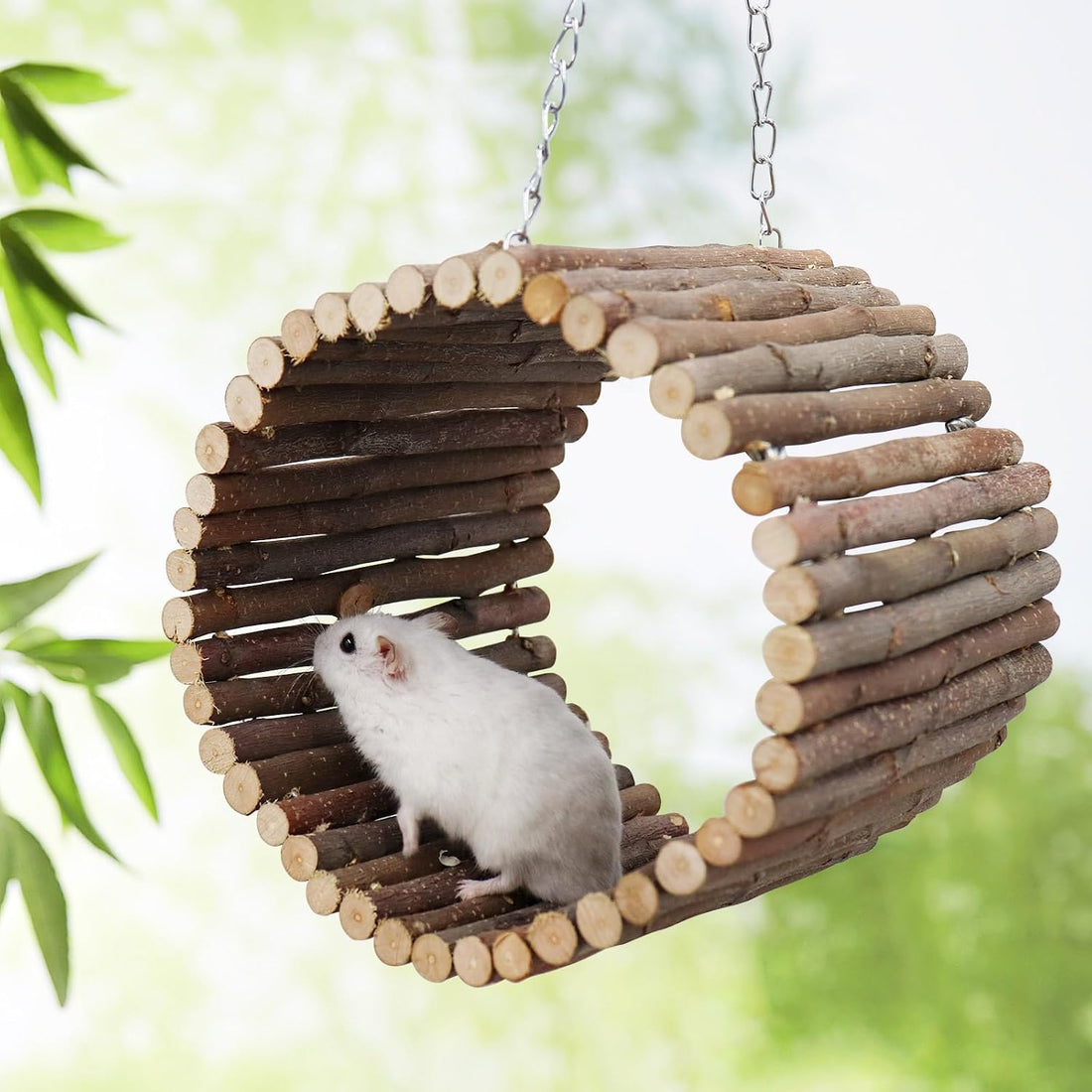 Bird Parrot Swing Toys, Hanging Bird Tree Caves