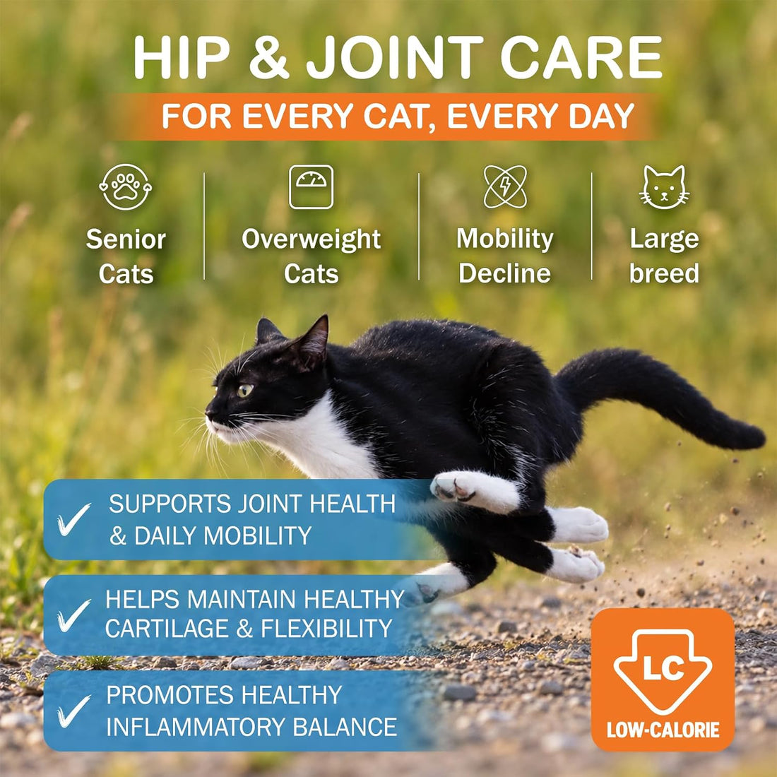 Lickable Cat Treats, Cat Joint Supplement with Glucosamine for Cats