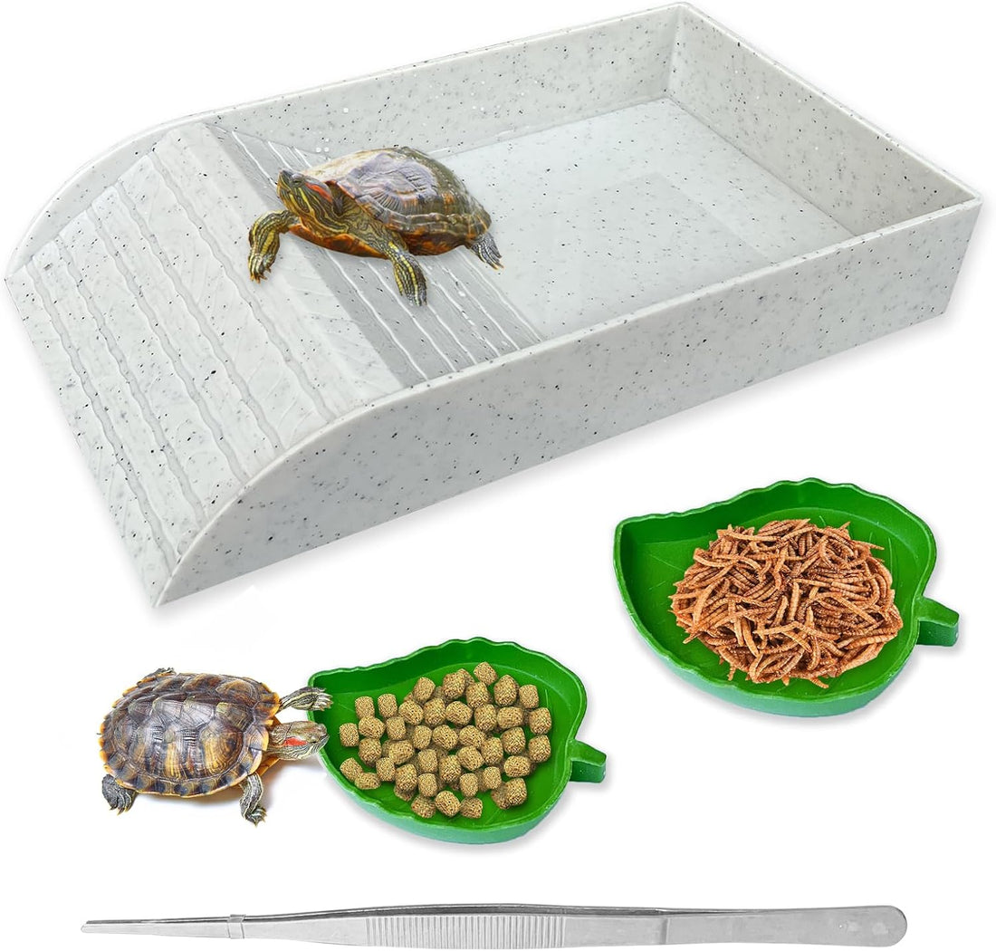 NGORAY Tortoise Feeding Dish with Ramp and Basking-Platform