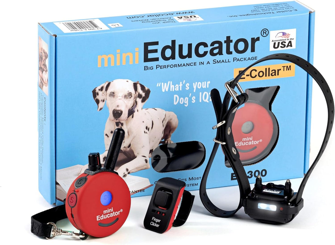 E-Collar Mini Educator ET-300 Remote Dog Training Collar