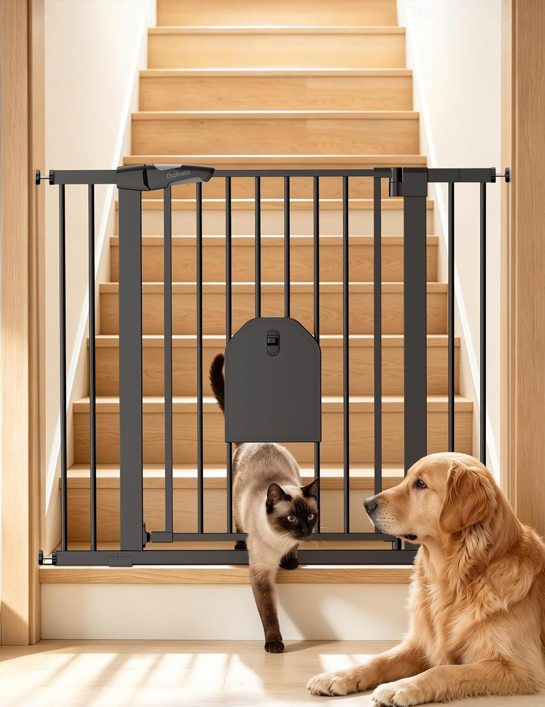 Babelio Auto Close Dog Gate with Cat Door, CatPrivilege I, 29-43"