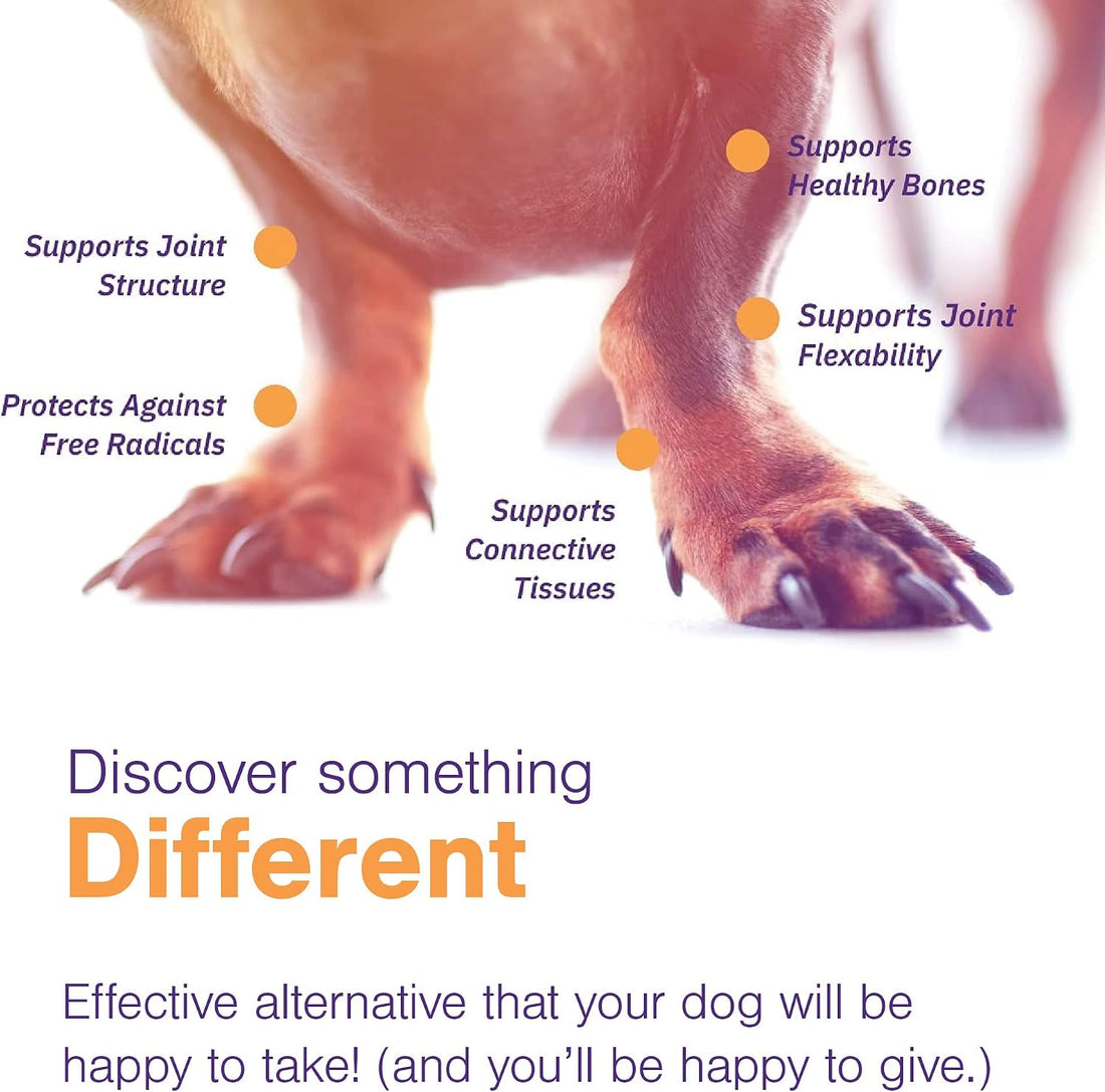MOVOFLEX Soft Chews Hip and Joint Support Supplement for Medium Dogs