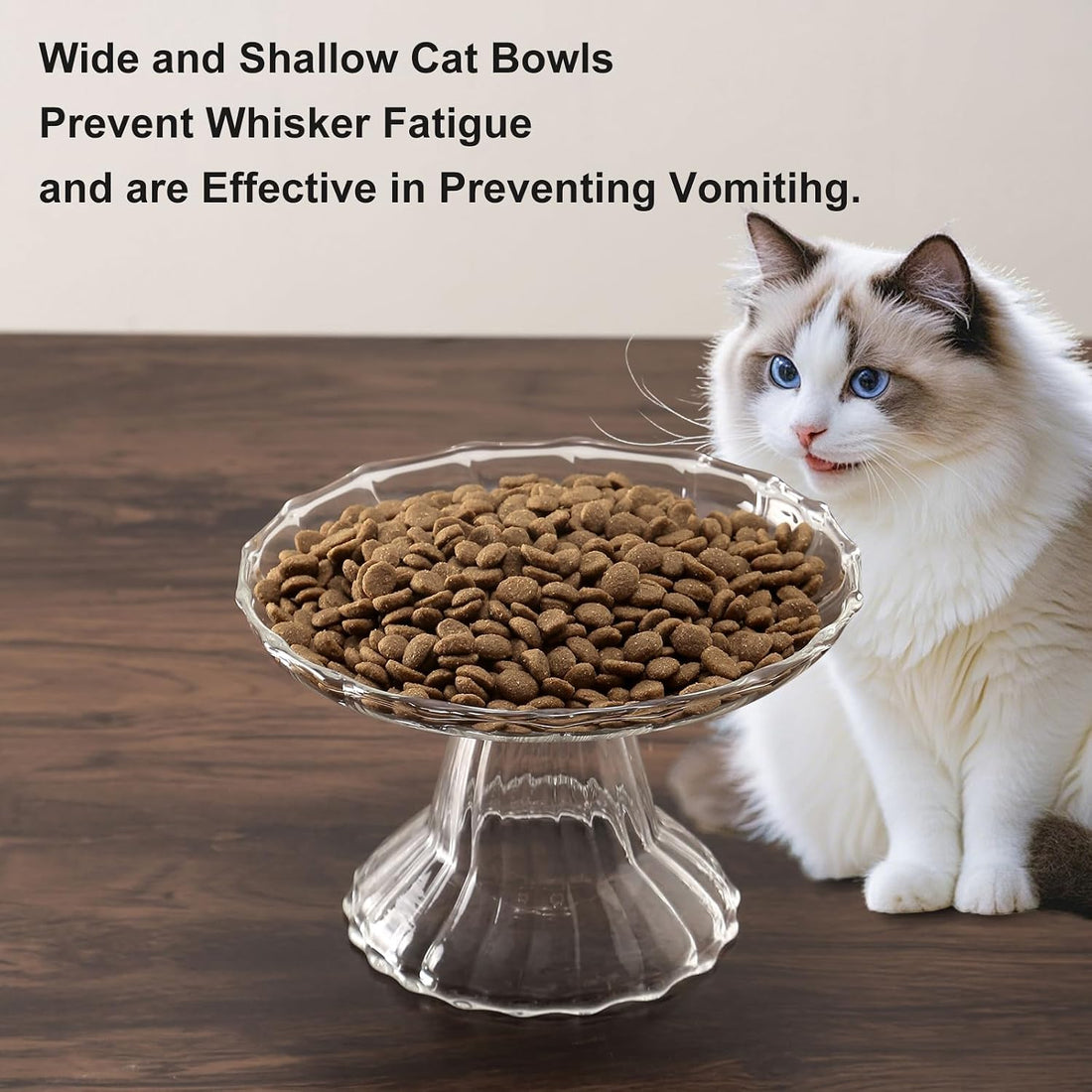 Elevated Cat Bowls Whisker Friendly. Raised Glass Whisker Fatigue Cat
