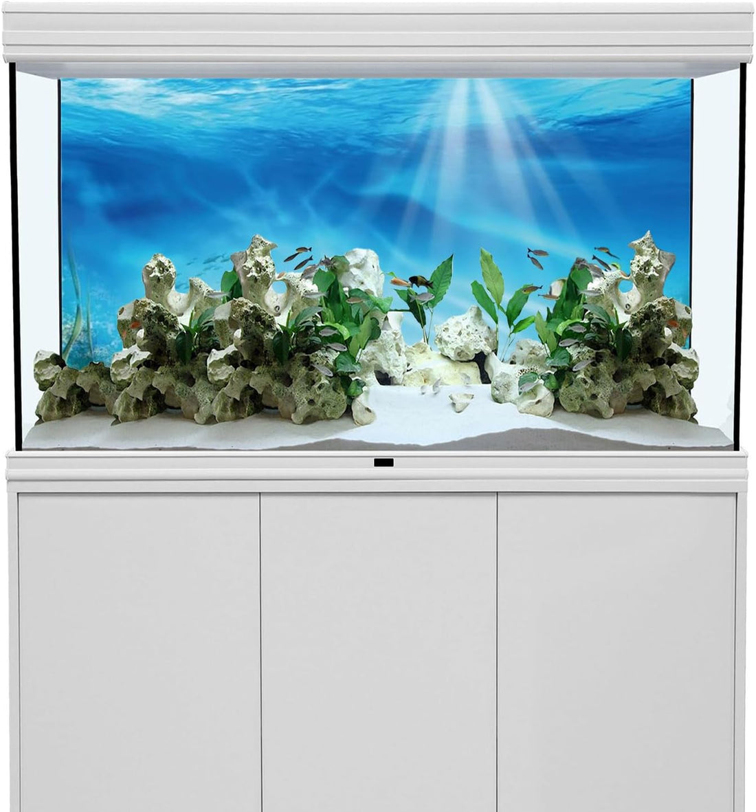 Undersea Aquarium Backdrop Underwater Coral Fish Tank Background