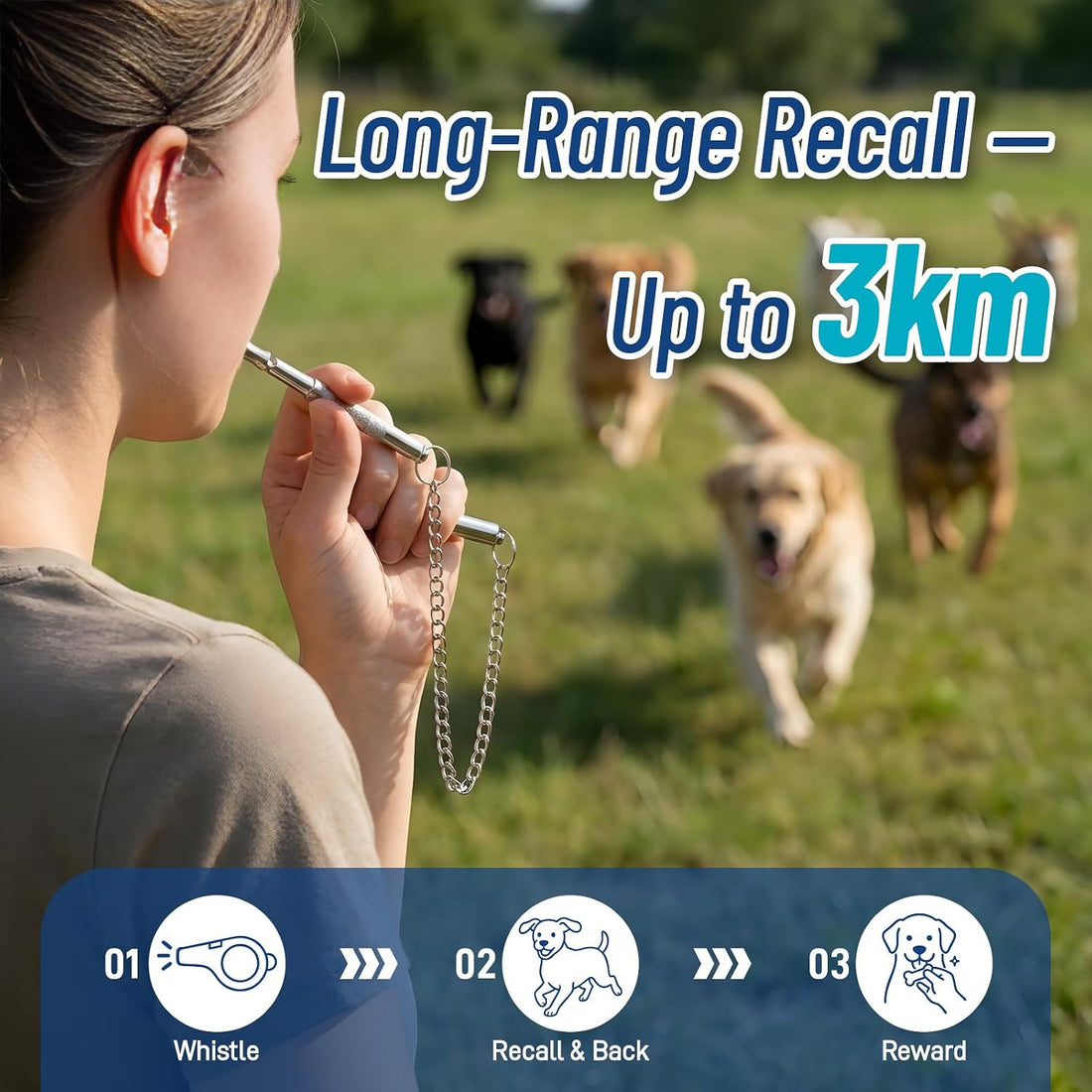 Dog Training Whistle to Stop Barking, Quiet & Adjustable Frequency