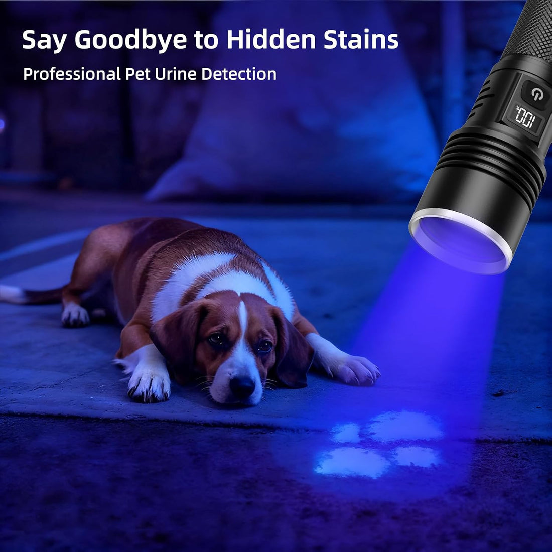 Tremdwoto 365nm UV Blacklight Flashlight Rechargeable