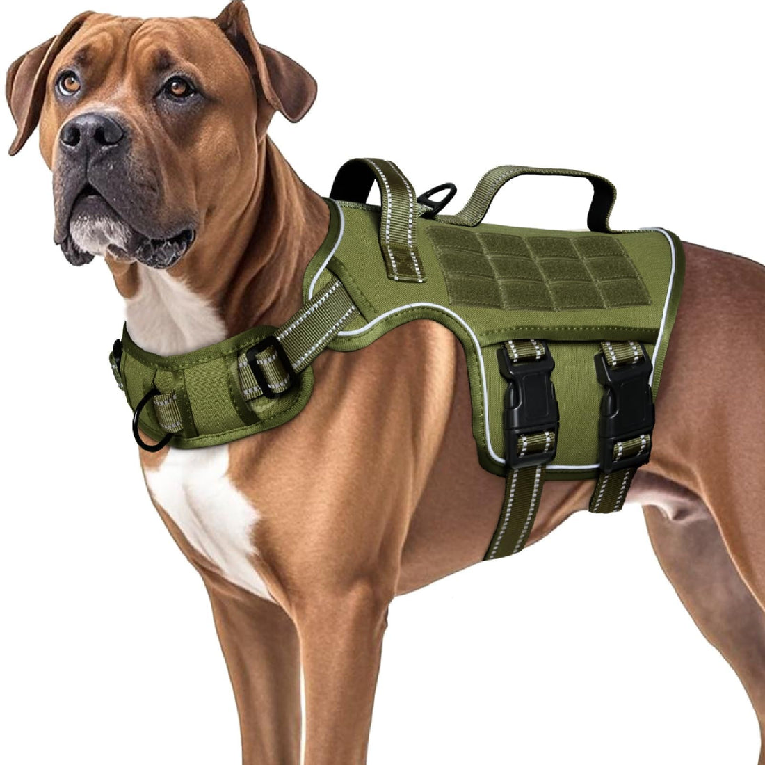 Dog Harness for Large Dogs Heavy Duty