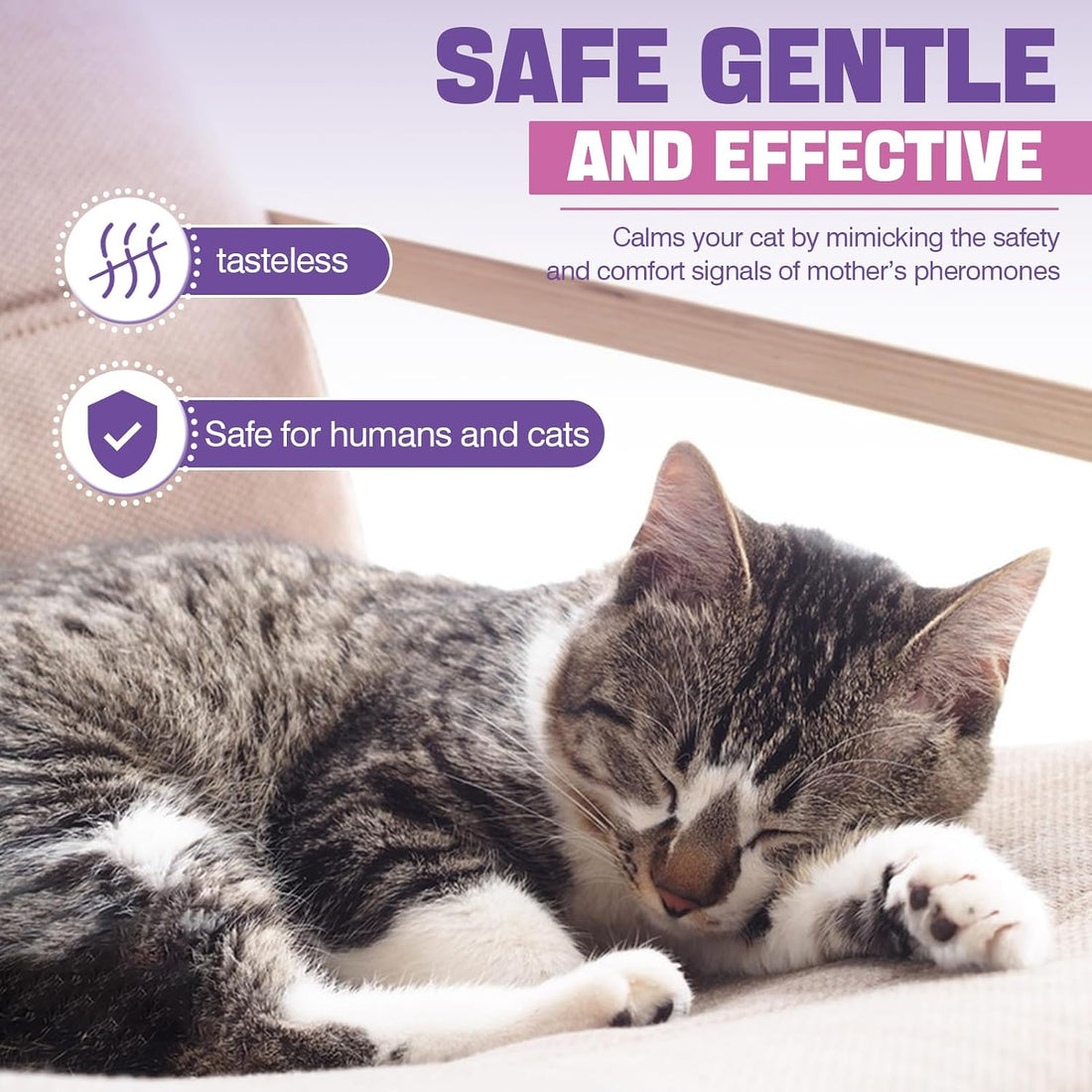 Cat Pheromones Calming Diffuser Refill 6 Pack Multicat Pheromone