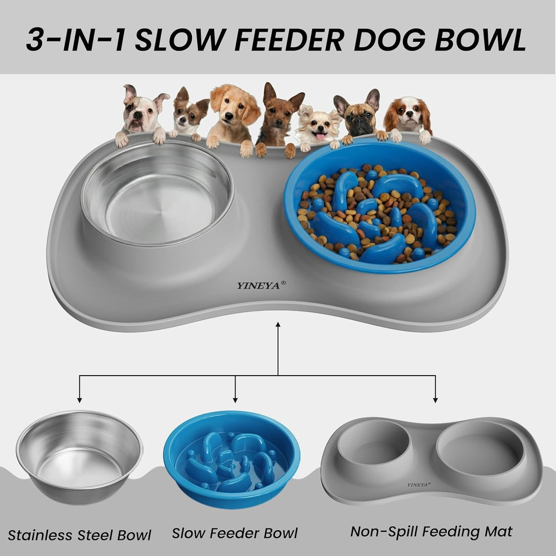 YINEYA 3 in 1 Slow Feeder Dog Bowls & Stainless Steel Food and Water