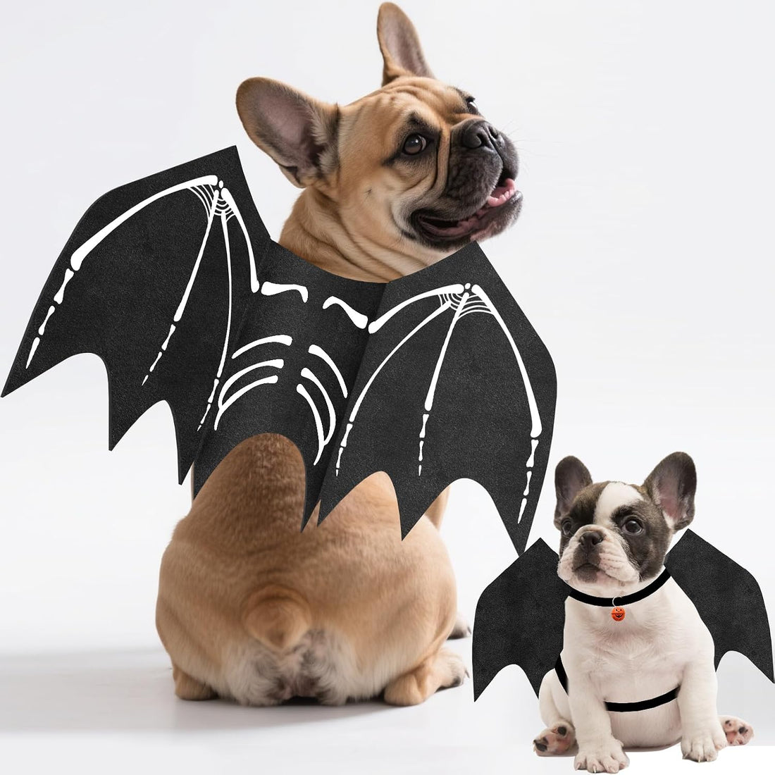 Olanrun Large Dog Halloween Costumes