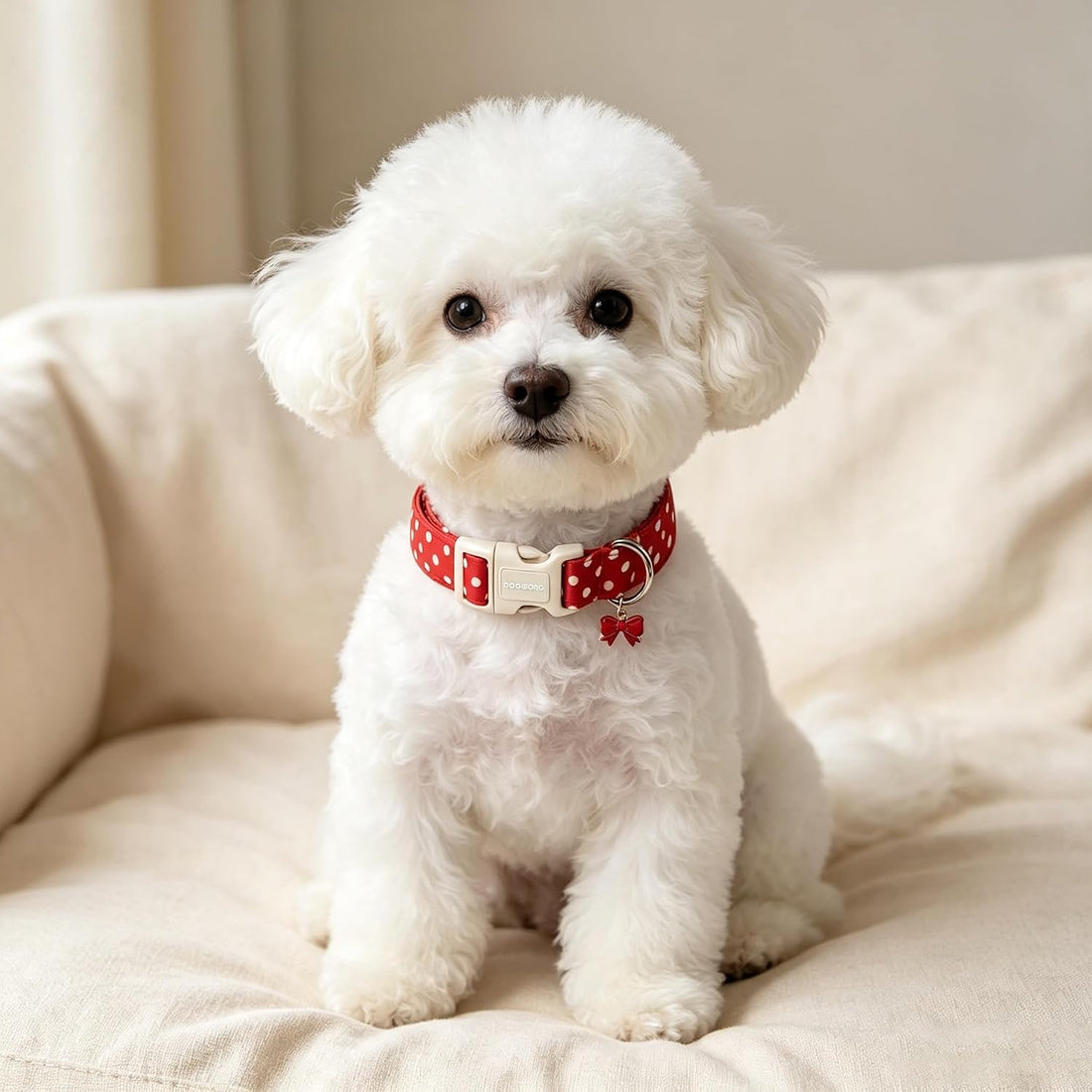 DOGWONG Red White Polka Dot Dog Collar for Small Dogs S