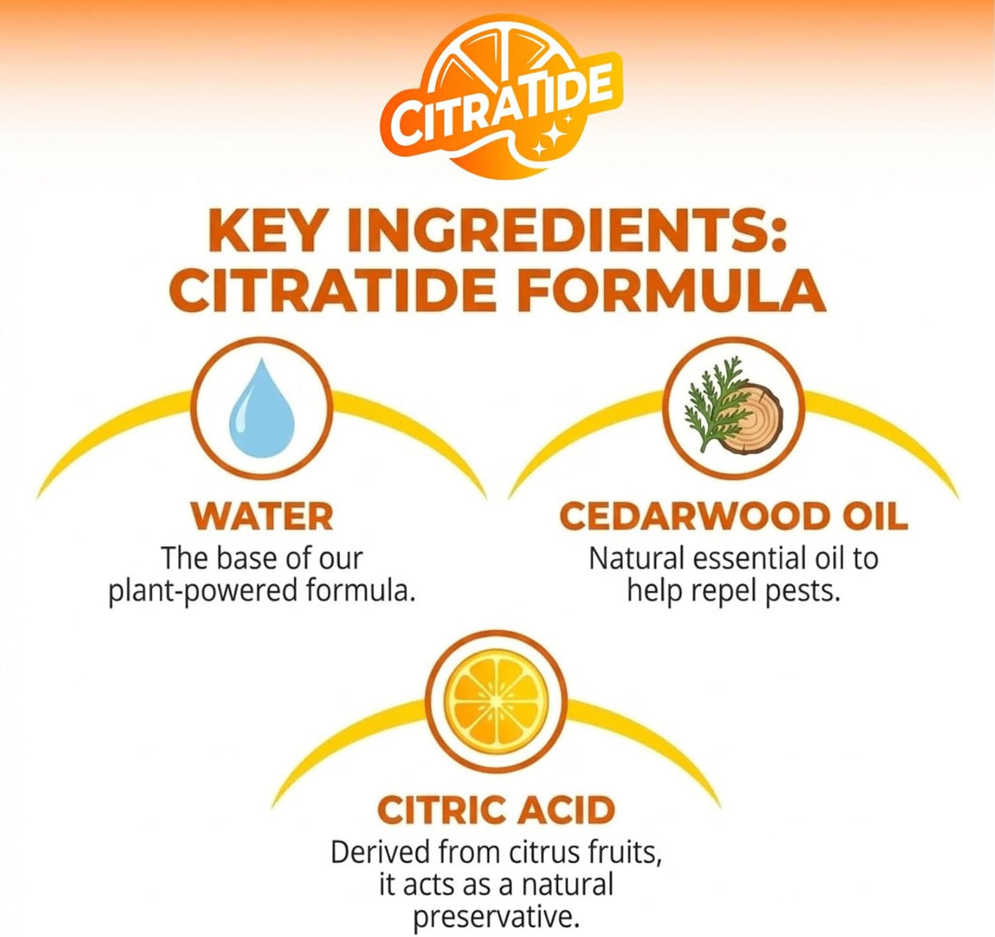 Natural Flea, Tick & Mosquito Spray for Dogs