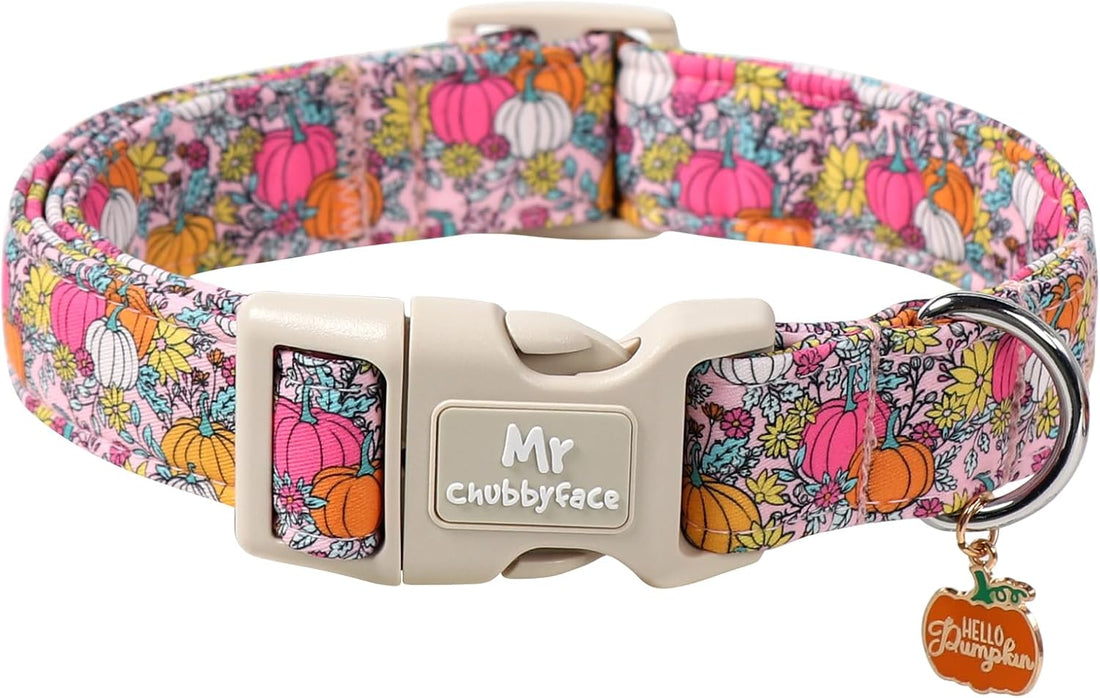 ·MR. CHUBBYFACE· Halloween Flower Pumpkin Dog Collar for Small Dogs S