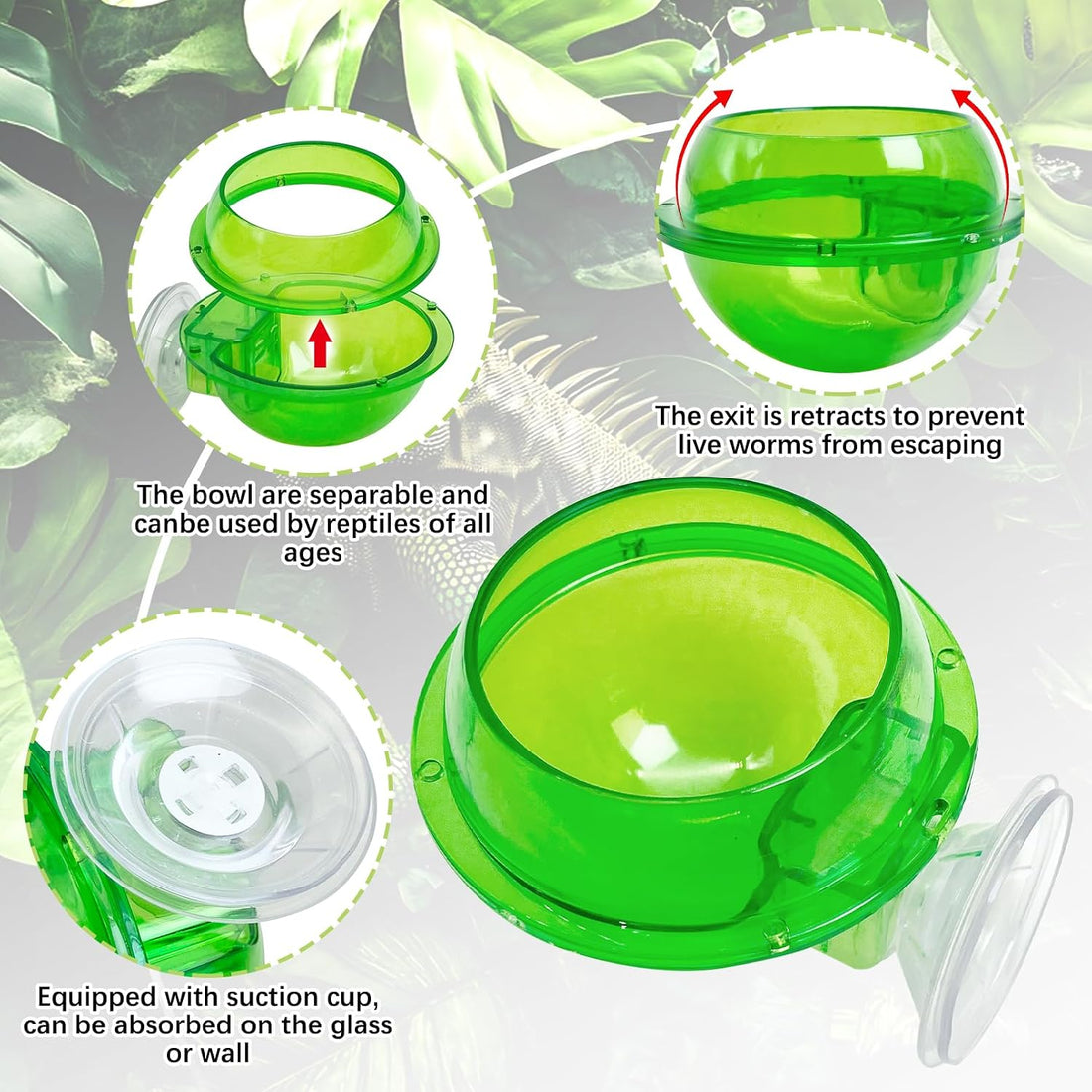 Tfwadmx Chameleon Bowl, Reptile Feeding Feeder,Worm Live Fodder
