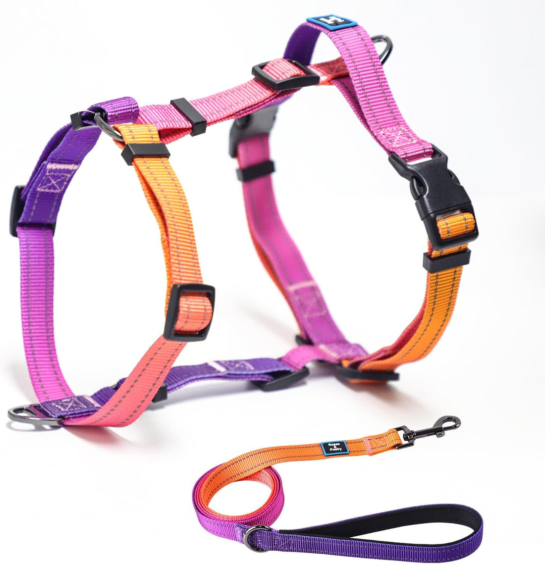 Roses&Poetry Small Dog Harness and Leash Set