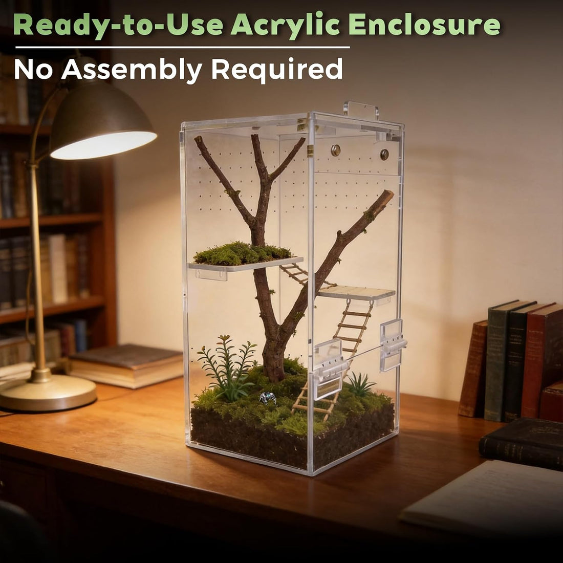 Jumping Spider Enclosure 4" x 4" x 8" Acrylic Habitat Kit