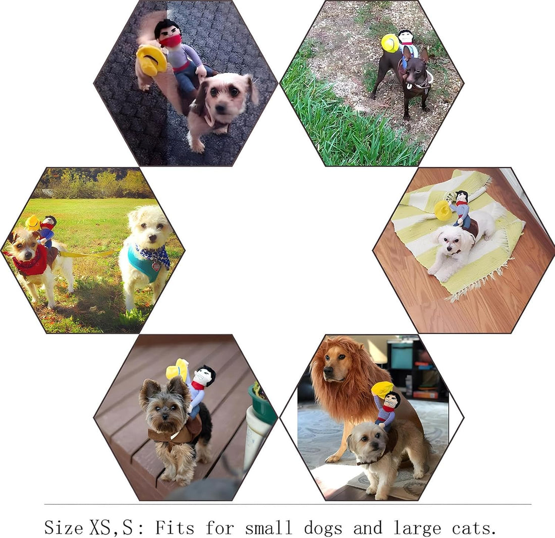 NACOCO Cowboy Rider Dog Costume for Dogs Clothes Knight Style