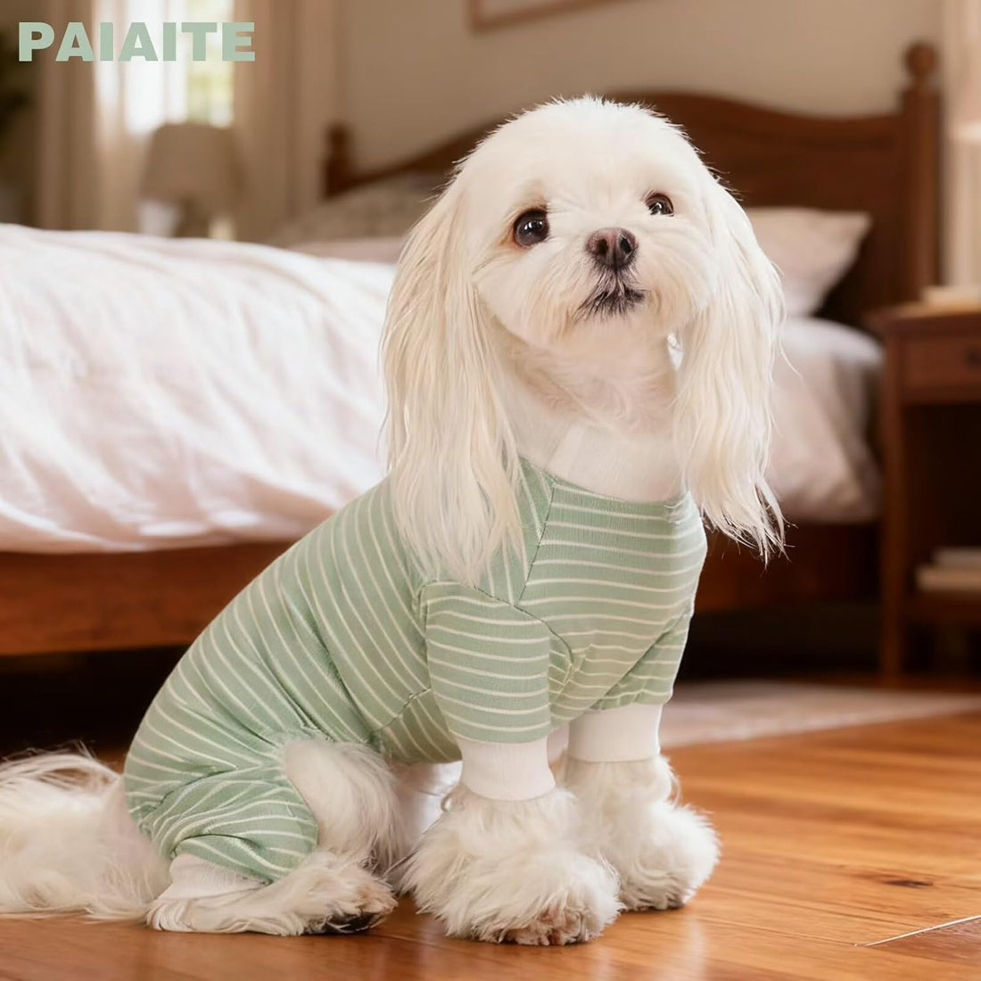 Paiaite Blue Striped Dog Pajamas