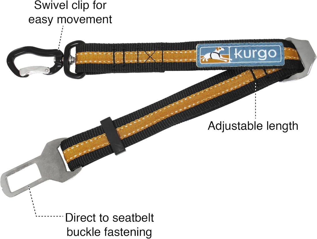 Kurgo Direct to Latch Swivel Tether, Charcoal