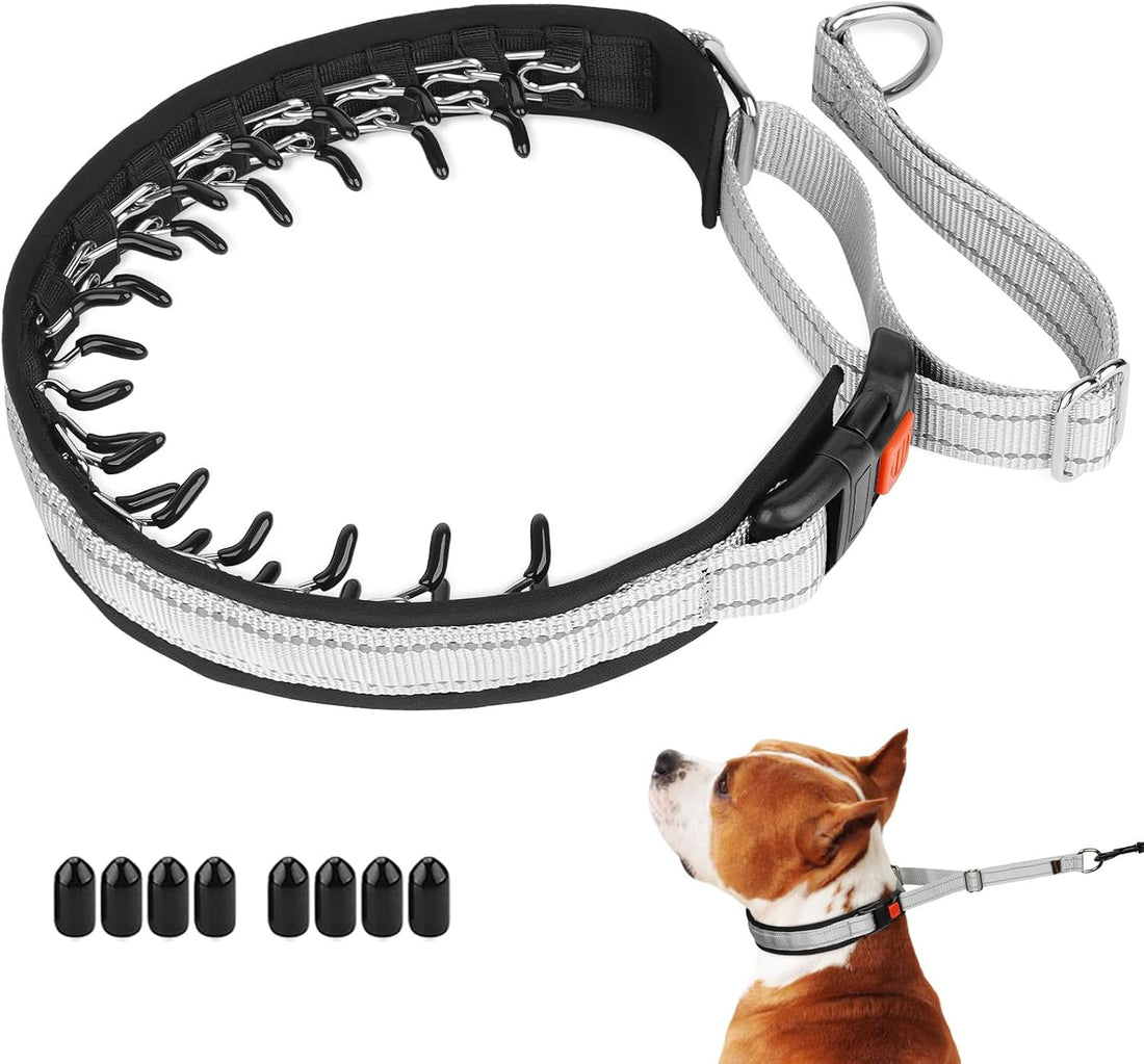 Mayerzon Martingale Dog Collar No Pull, Black, M