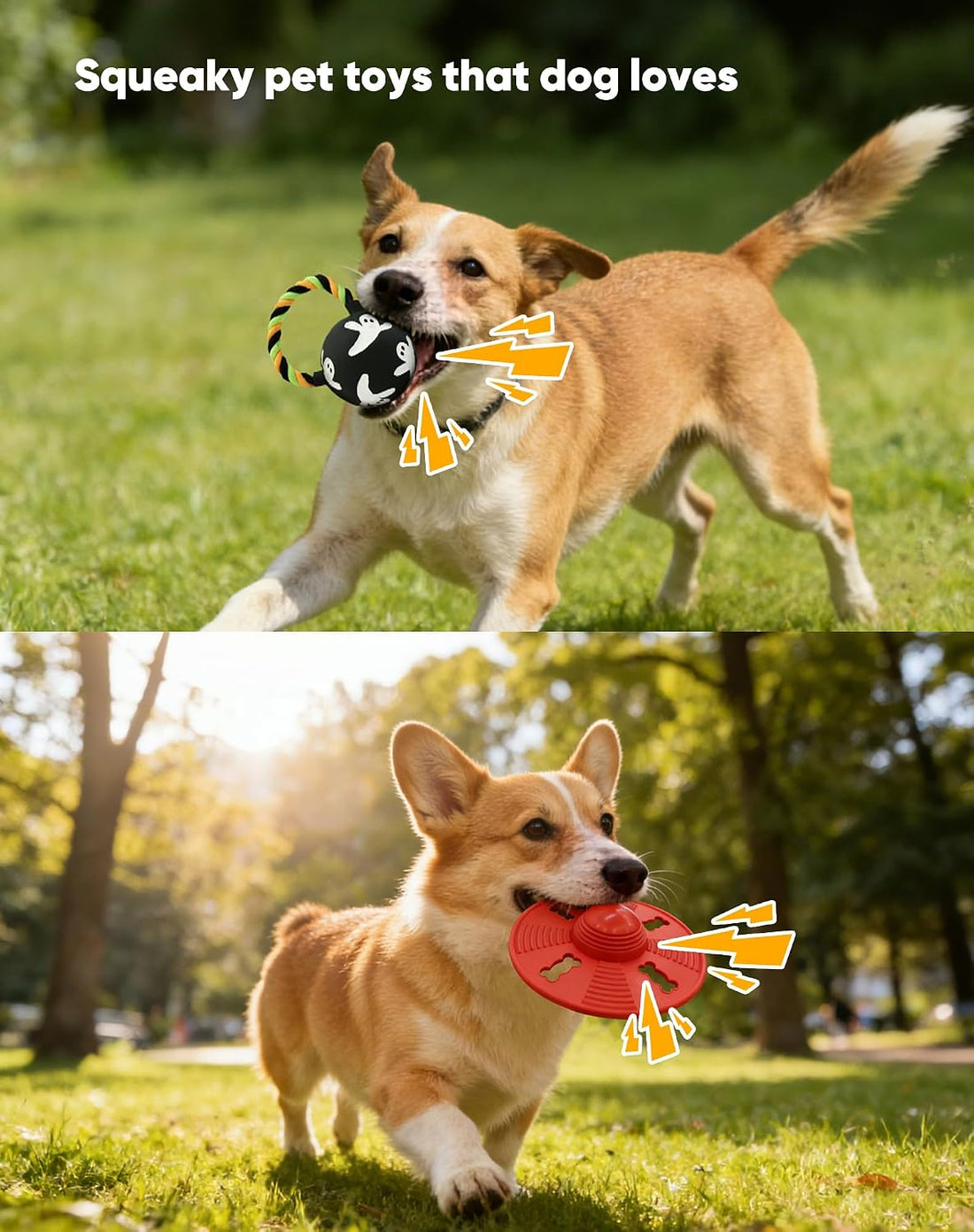 Squeaky Natural Rubber Dog Flying Disc/Frisbee/Flyer with Black Ball