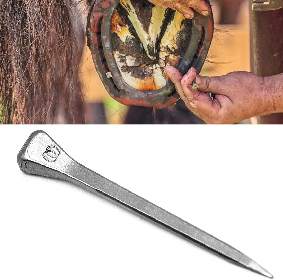 Surf turtle 50Pcs 2.1 Inches E6 Horseshoe Nails