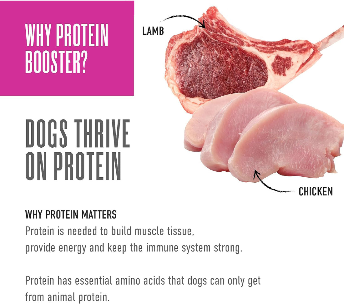 Tiki Dog Protein Booster Dog Food Topper, Chicken & Lamb, 2.1oz, 12ct