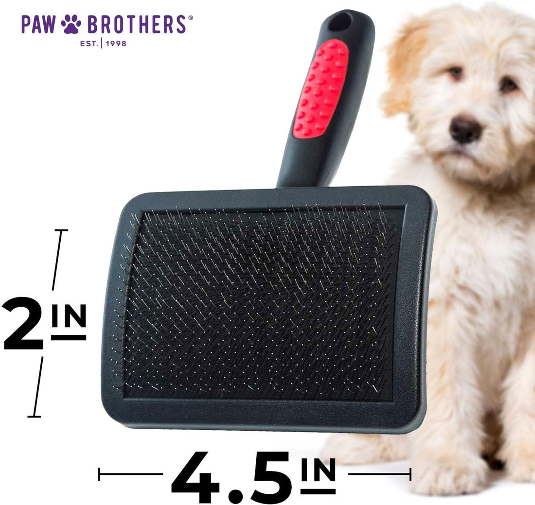 RYAN'S PET SUPPLIES Paw Brothers Triangle Soft Pin Slicker Brush