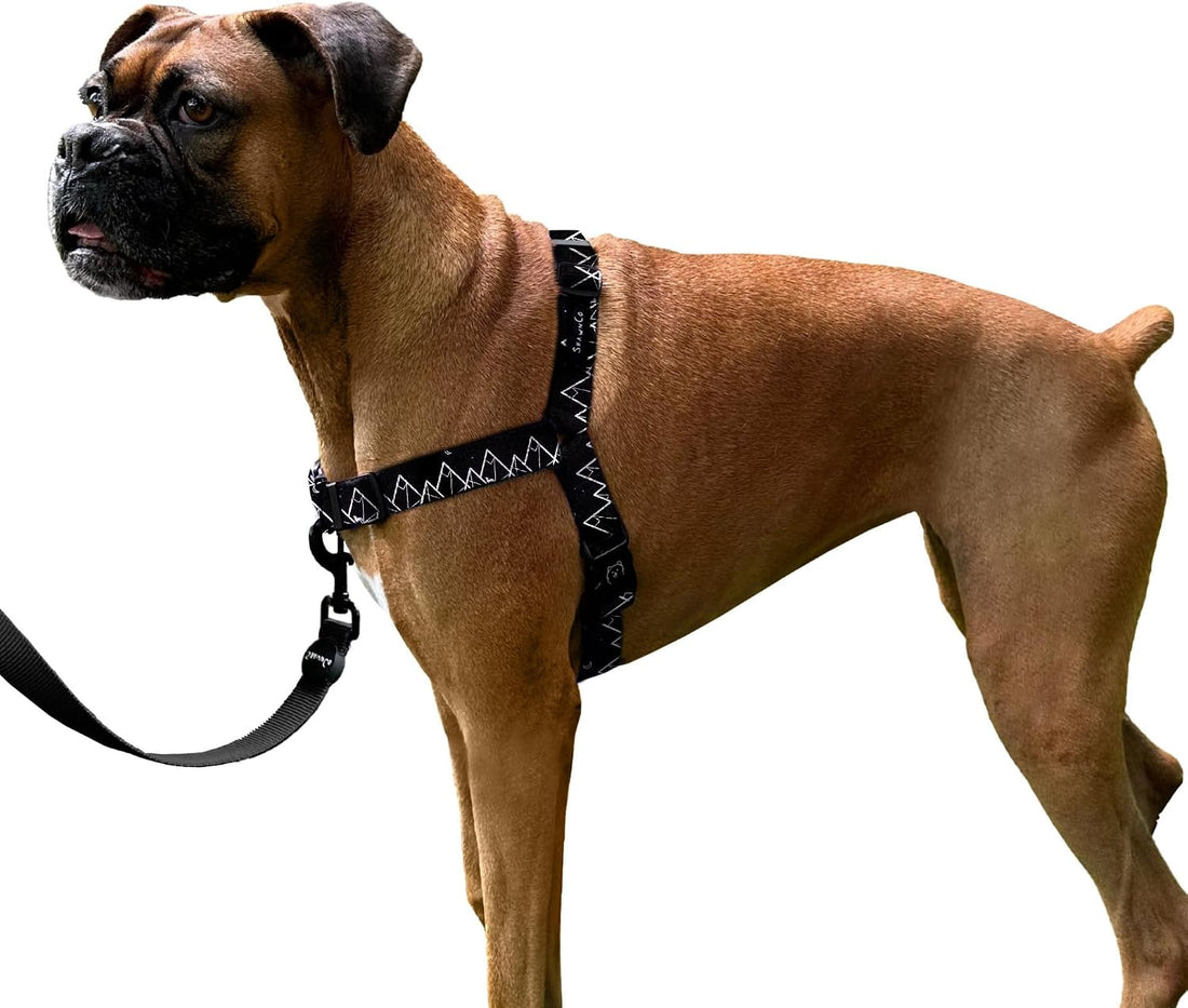 ShawnCo Dream Walk No-Pull Dog Harness