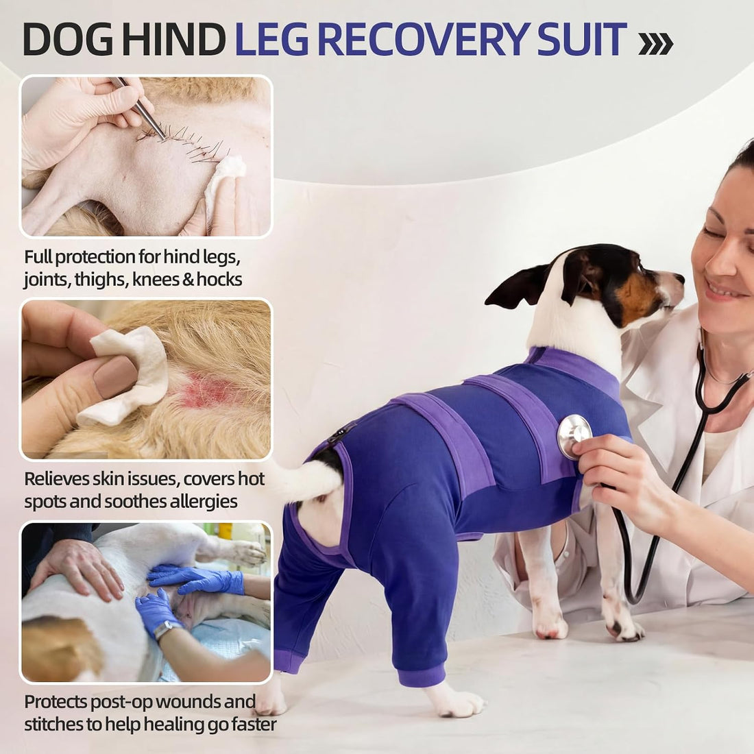 Lelepet Dog Surgery Recovery Suit, Pants for Dogs