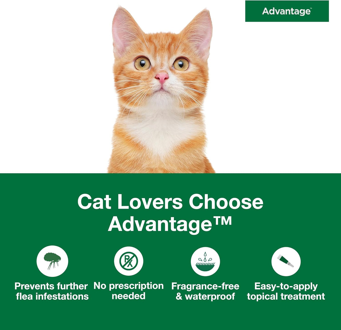 Advantage Topical Cat Flea Treatment and Prevention for Small Cats