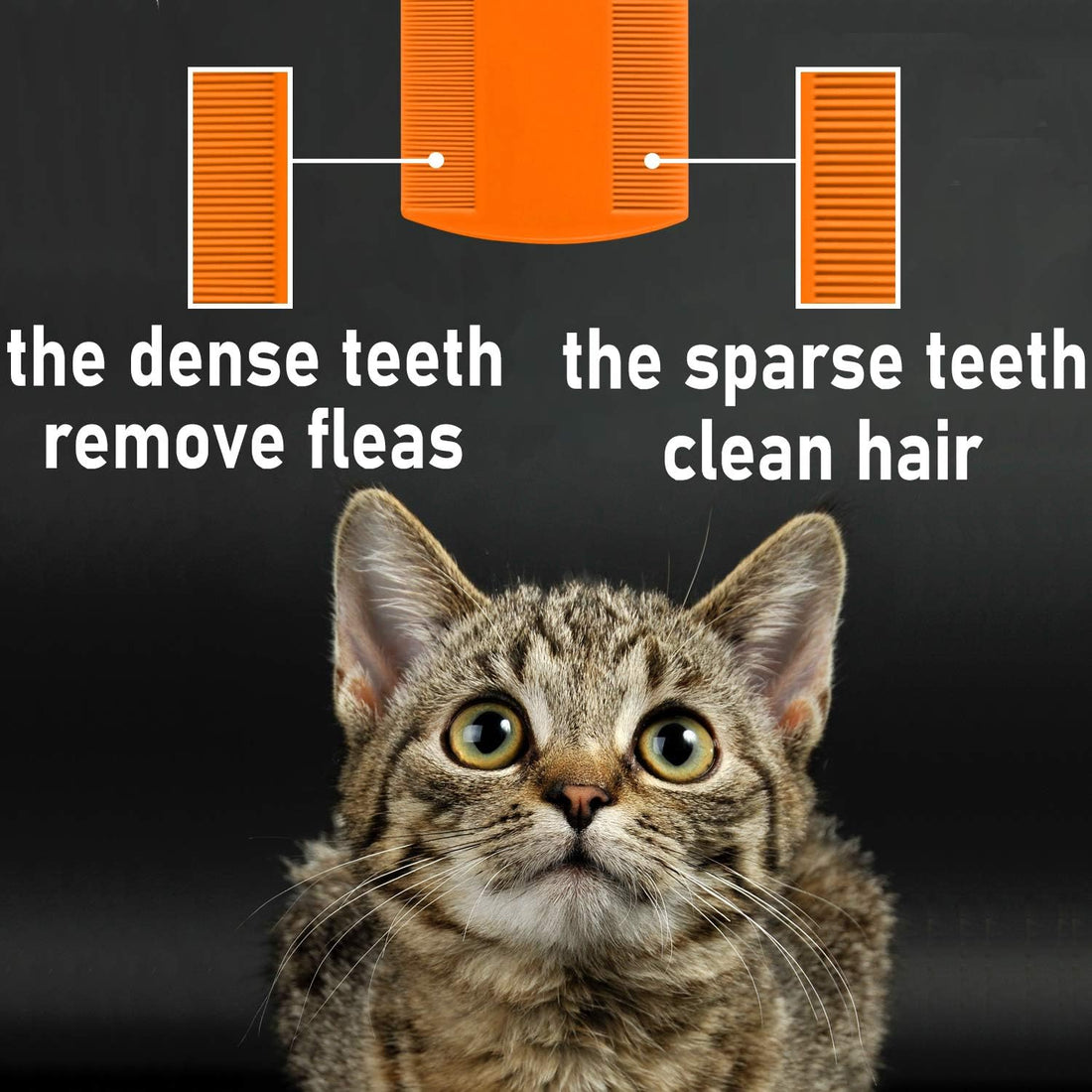 Flea Comb for Cats, 4 Pcs Lice Comb for Dogs