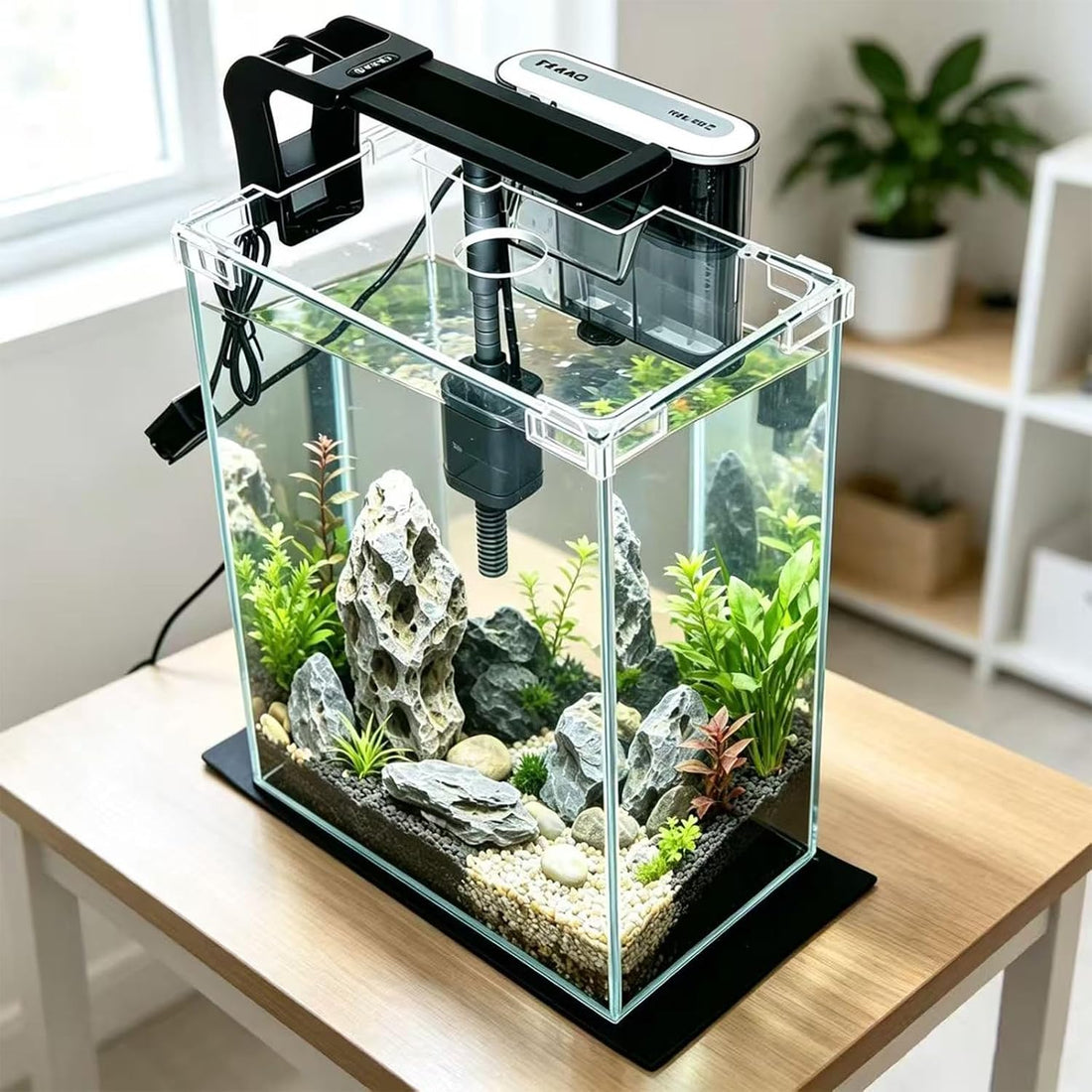 2 Gallon Betta Fish Tank with Filter and Light