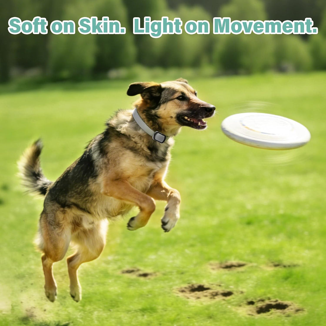 Flea and Tick Collar for Dogs