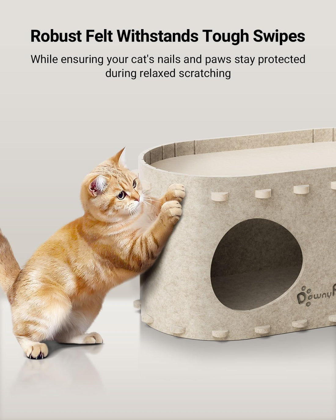 DownyPaws Cat House for Indoor Cats