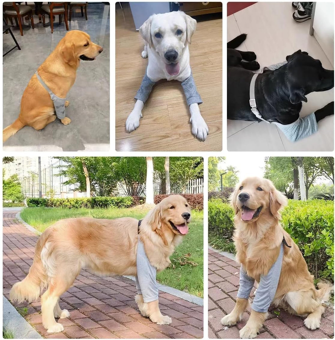 MANON ROSA Dog Elbow Pads – Knee Wrap Front Leg Sleeves for Large Dogs