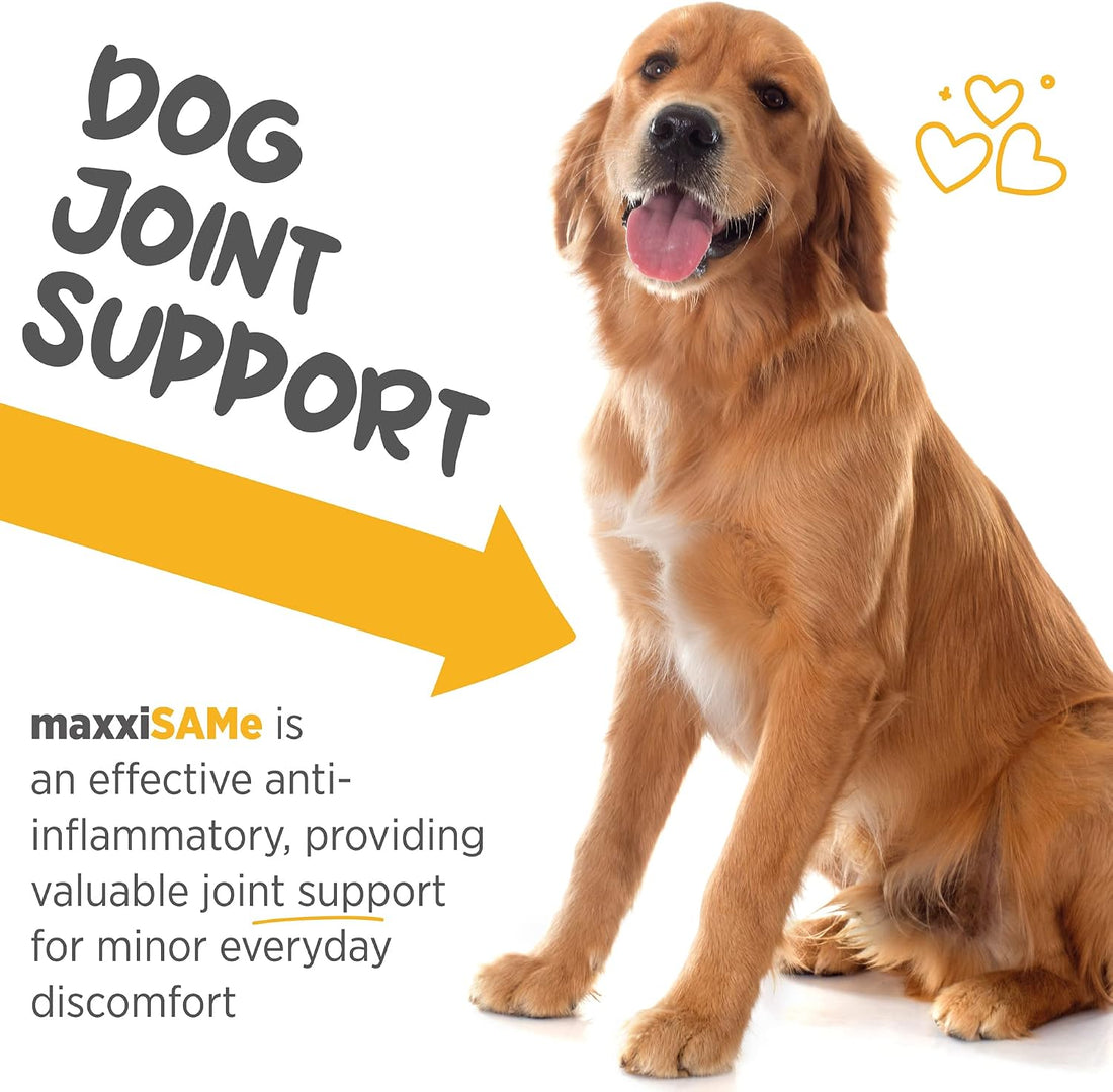 maxxipaws maxxiSAMe Advanced SAM-e Powder Supplement - Liver