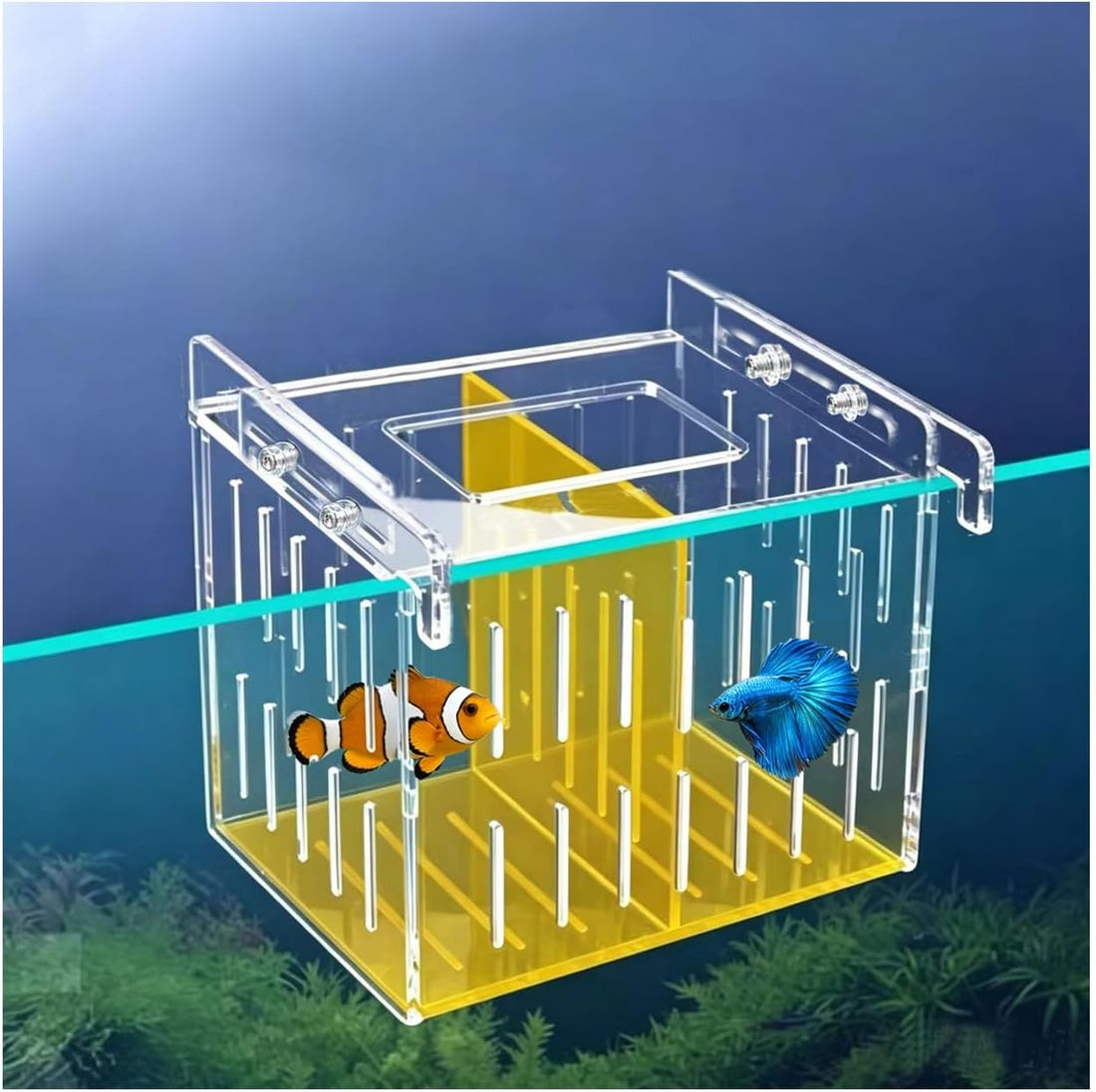 Large Acclimation Box for Saltwater Fish