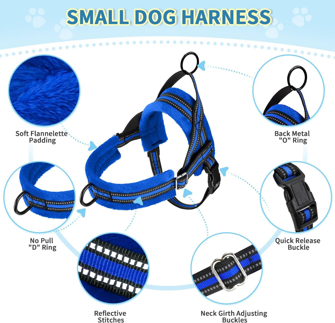 Lukovee Small Dog Harness and Leash Set, No Pull Soft Padded